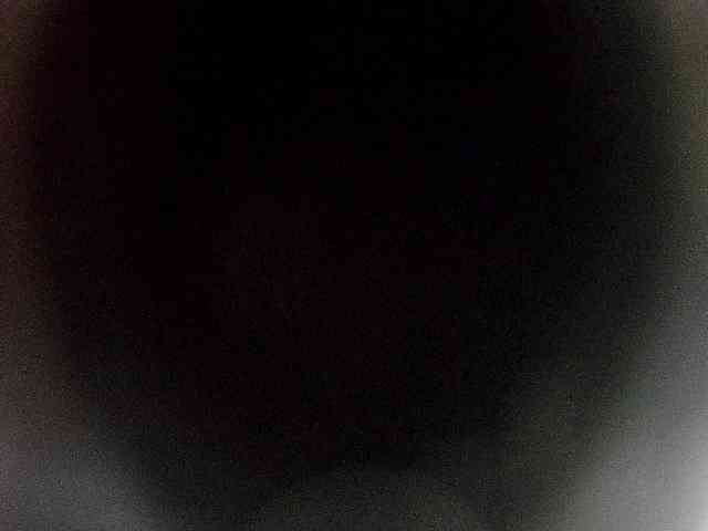 anita-b webcam