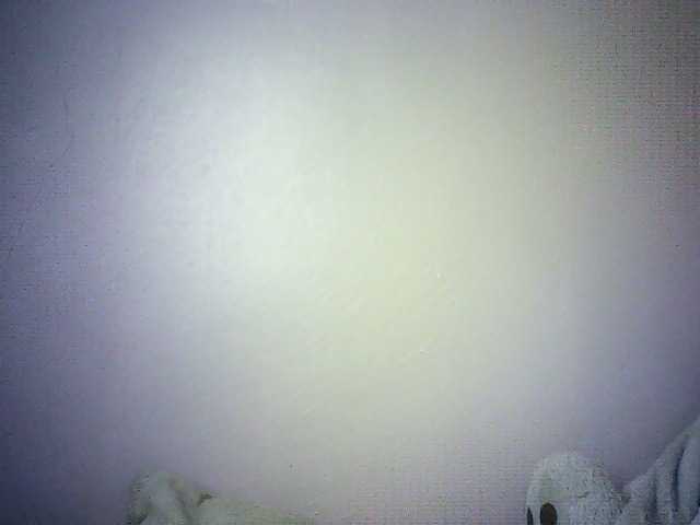 Trassy live cam preview