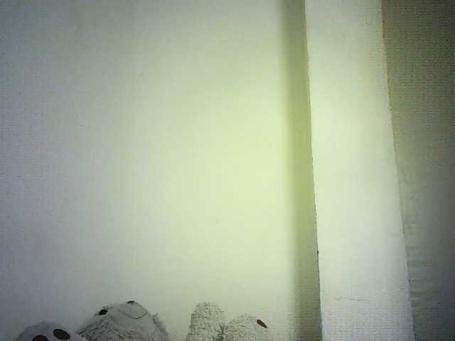 Trassy live cam on BongaCams
