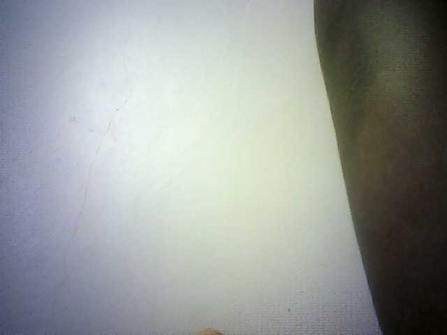Trassy live cam preview