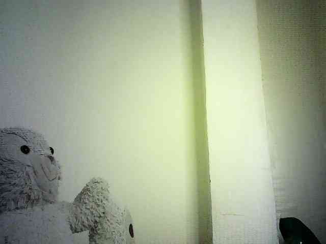 Trassy webcam