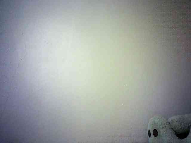 Trassy webcam