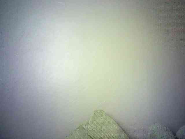 Trassy webcam