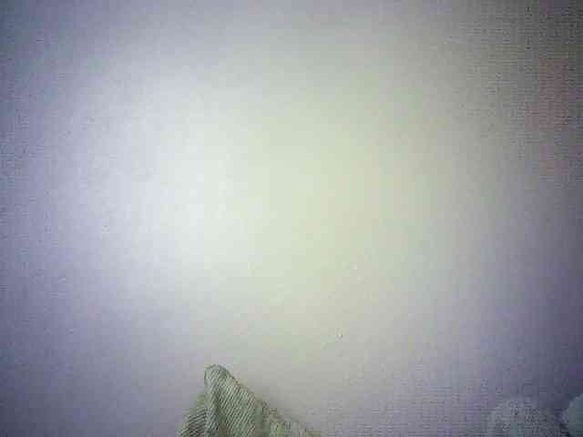 Trassy webcam