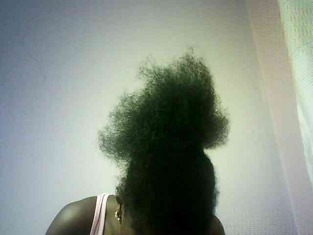 Trassy webcam