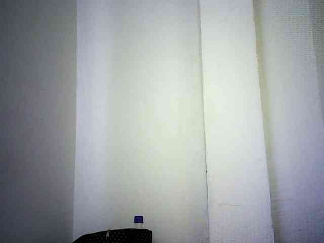Trassy webcam