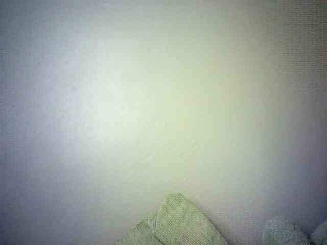 Trassy webcam