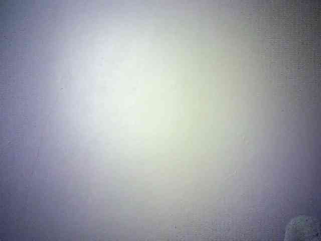 Trassy webcam