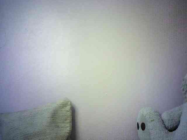 Trassy webcam
