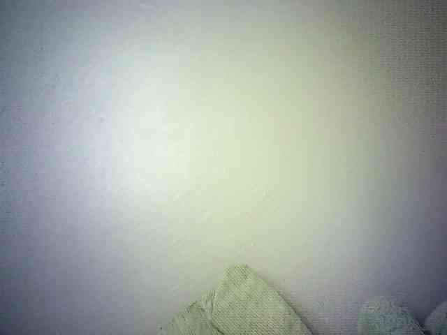 Trassy webcam