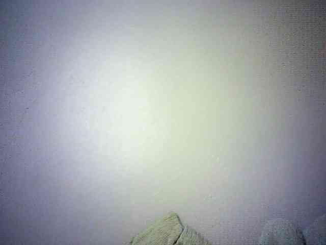 Trassy webcam