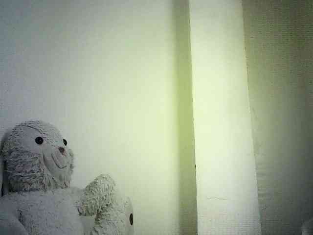 Trassy webcam