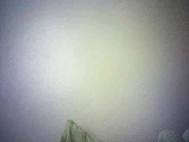 Trassy webcam