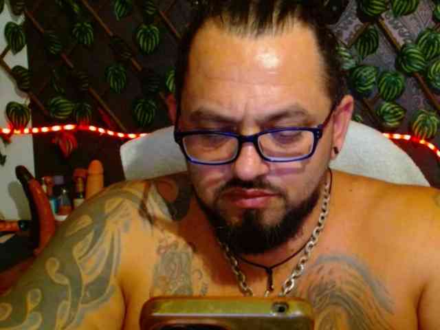 mrwolfff