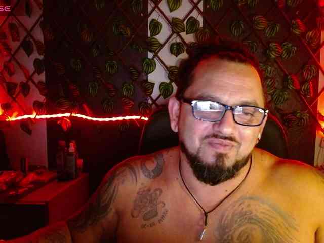 mrwolfff