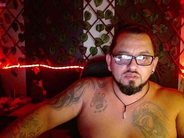 mrwolfff
