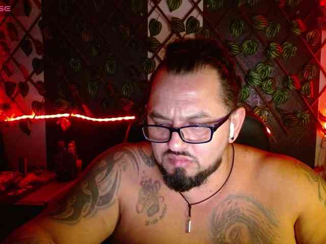 mrwolfff mrwolfff