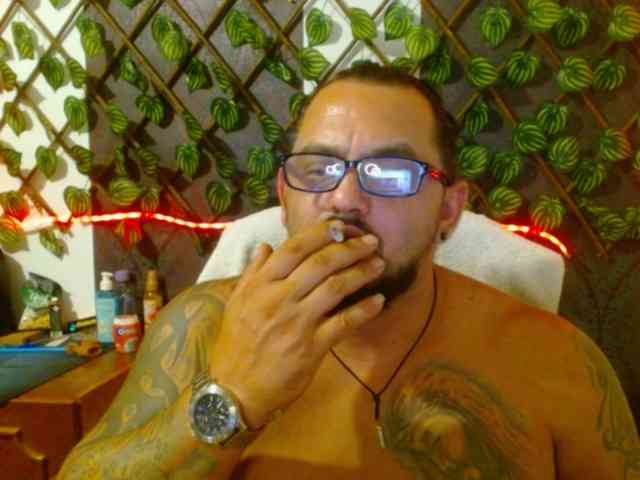 mrwolfff