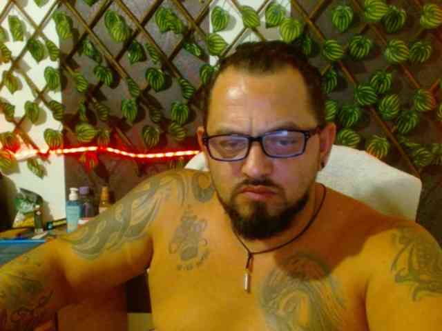mrwolfff