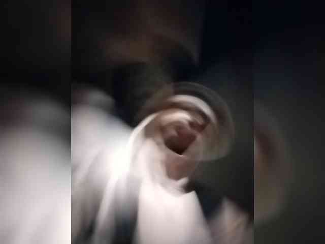 xelhacker8x xelhacker8x