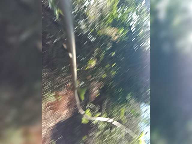 Kenyansexy, live now on BongaCams