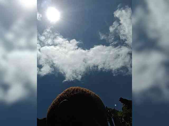 Kenyansexy