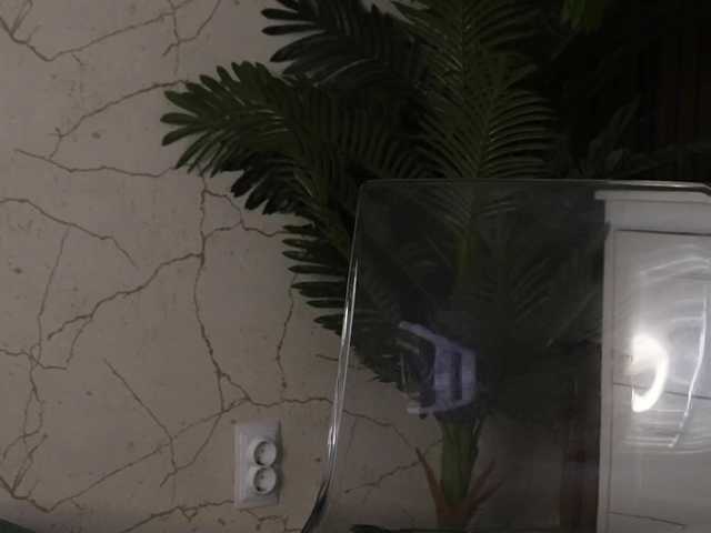 18Brook live cam on BongaCams