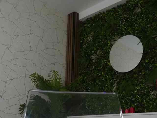 18Brook webcam