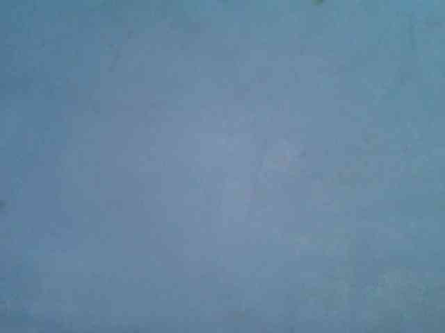 Rose-Bler webcam