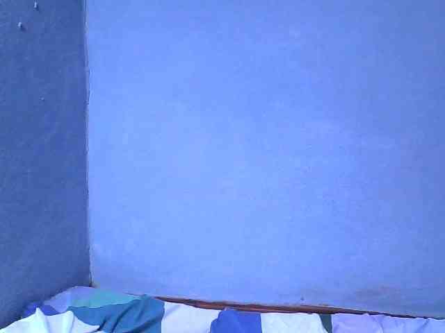 Rose-Bler webcam