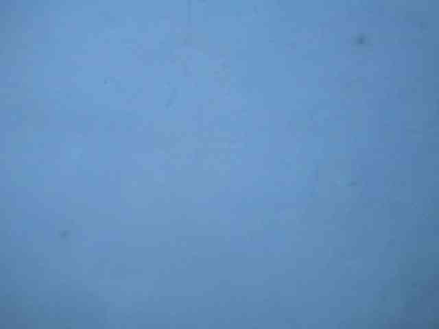 Rose-Bler webcam