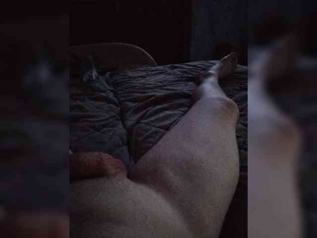 Kotenot webcam