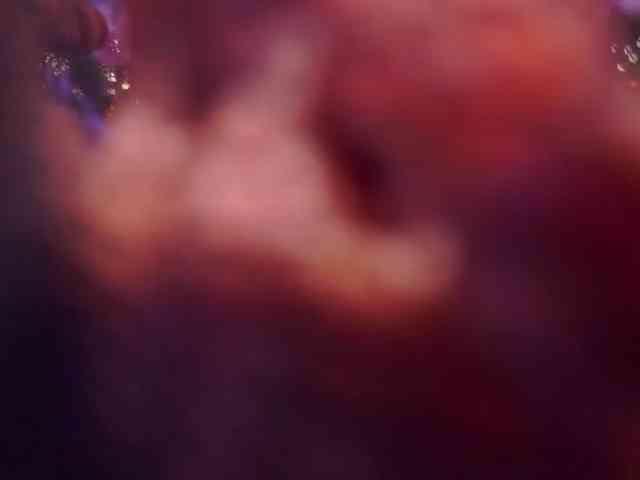 Magistra webcam