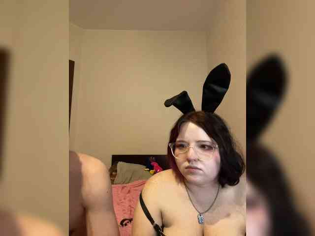 Two-NPC webcam