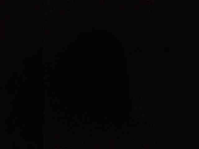 Galentina webcam