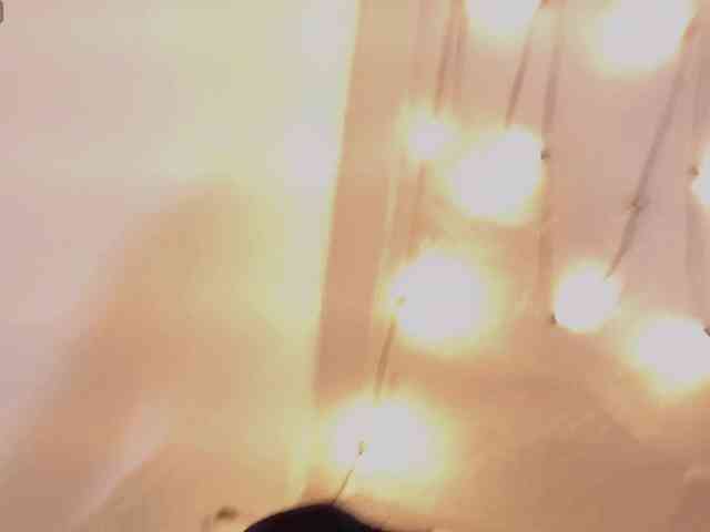 KarlaaDoll webcam