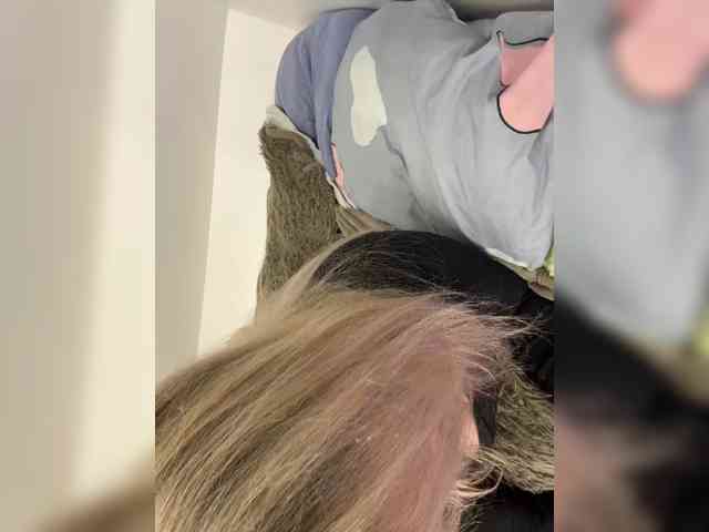 Nika-Licka webcam