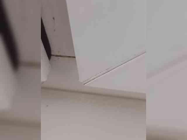 Nimfa5009a webcam