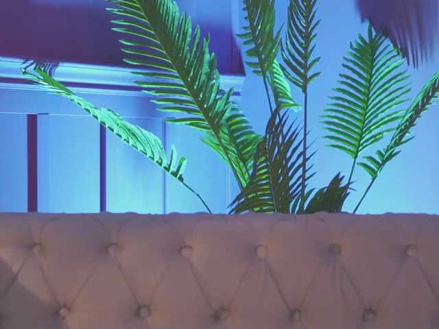PearlKaye, en vivo ahora en BongaCams