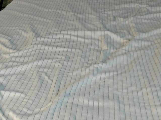 Pink-Freya live cam on BongaCams