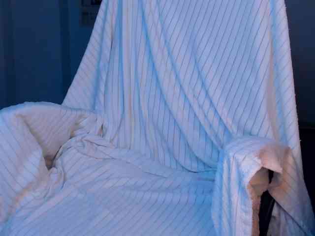 Pink-Freya webcam