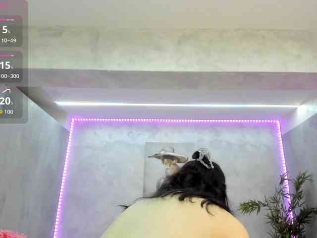 bellavox webcam