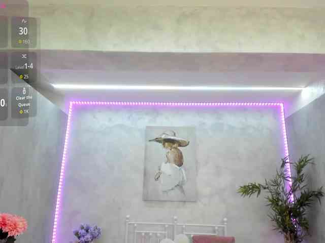 bellavox webcam