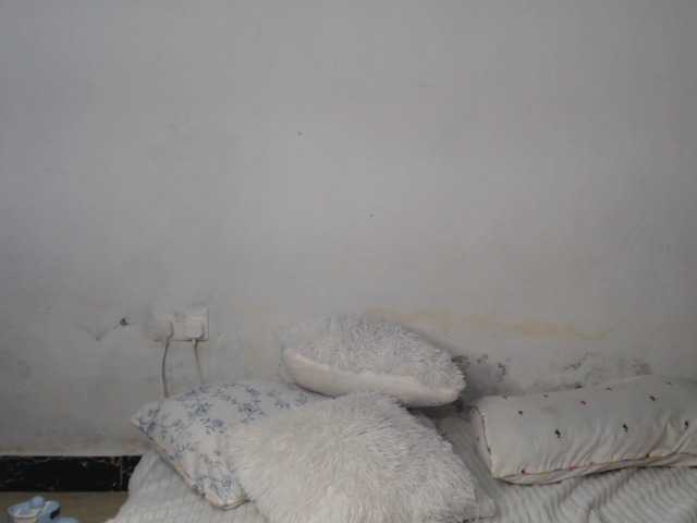 Seatlally live cam preview