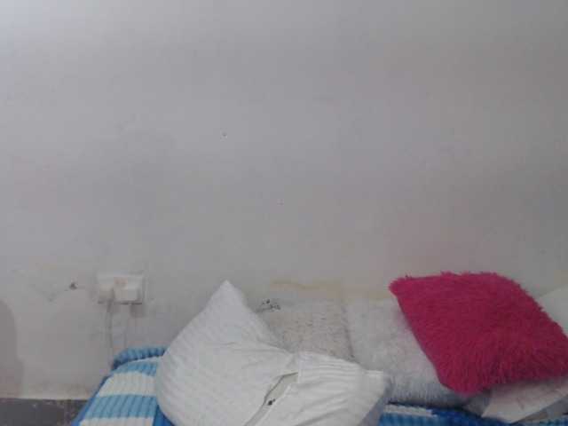 Seatlally live cam preview