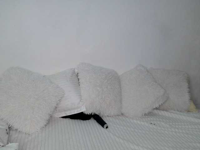 Seatlally live cam preview
