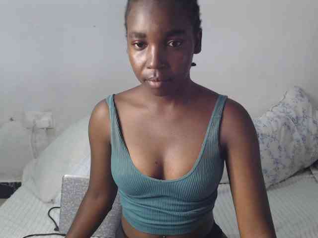 Seatlally webcam