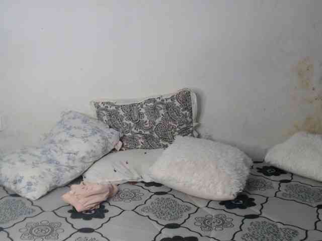 Seatlally webcam