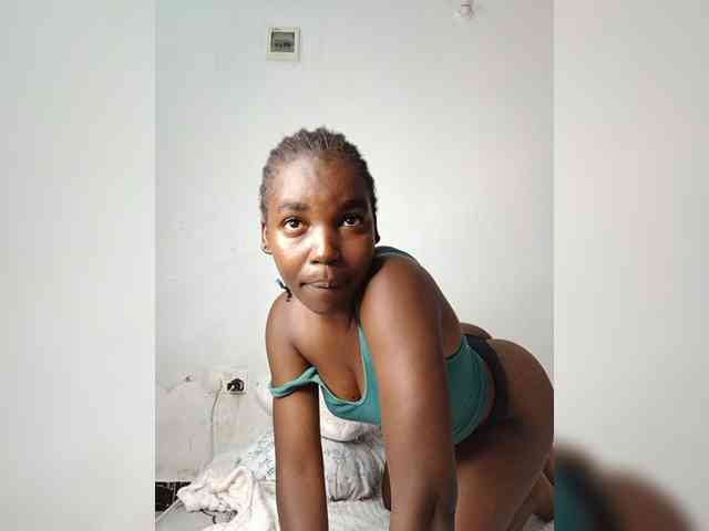 Seatlally webcam
