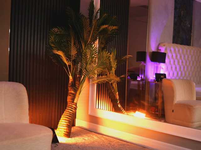 NouraMalvi